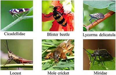 Distance-Entropy: An Effective Indicator for Selecting Informative Data